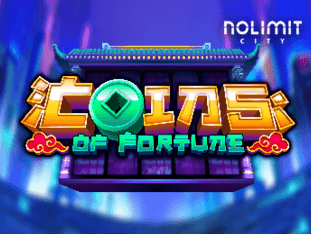 Coins Of Fortune screenshot